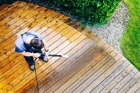 fence cleaning